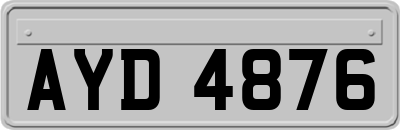 AYD4876