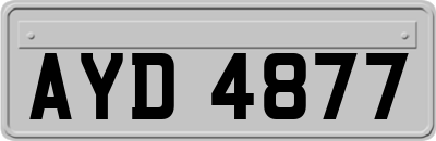 AYD4877
