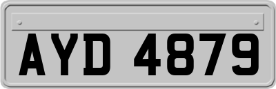 AYD4879