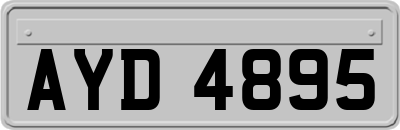 AYD4895