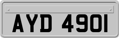 AYD4901