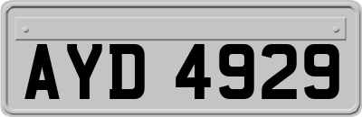 AYD4929