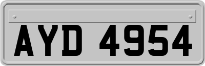 AYD4954