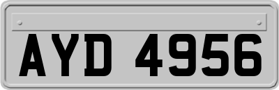 AYD4956