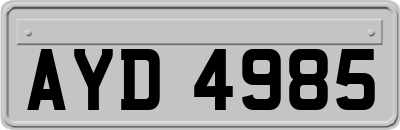 AYD4985