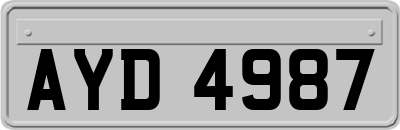AYD4987
