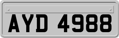 AYD4988
