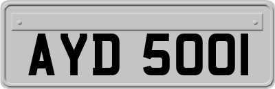 AYD5001