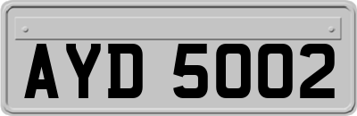 AYD5002