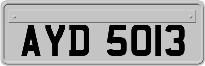 AYD5013