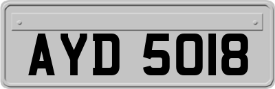 AYD5018