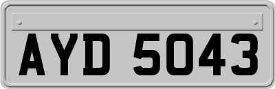 AYD5043