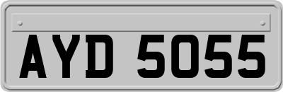AYD5055