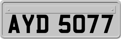 AYD5077