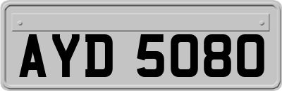 AYD5080
