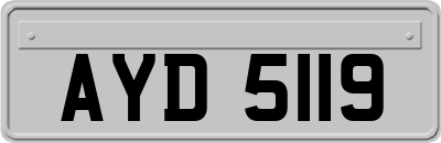 AYD5119