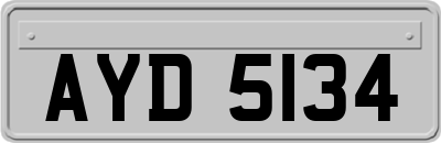 AYD5134