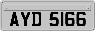 AYD5166