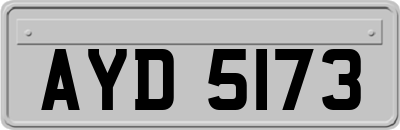 AYD5173