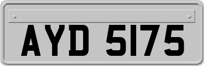 AYD5175