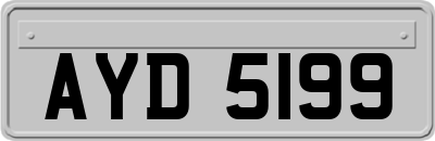 AYD5199