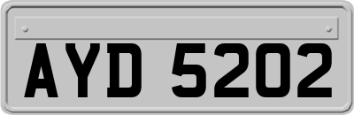 AYD5202