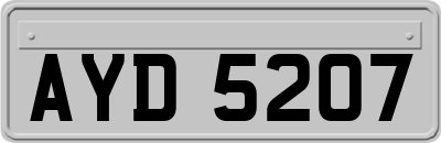 AYD5207