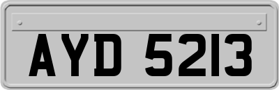 AYD5213