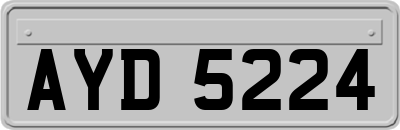 AYD5224