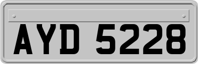 AYD5228