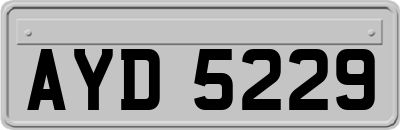 AYD5229