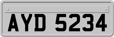 AYD5234