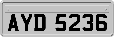 AYD5236