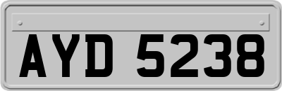 AYD5238