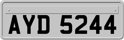 AYD5244
