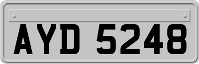 AYD5248