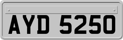 AYD5250