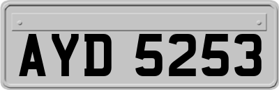 AYD5253
