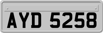 AYD5258