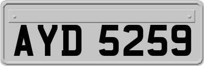 AYD5259