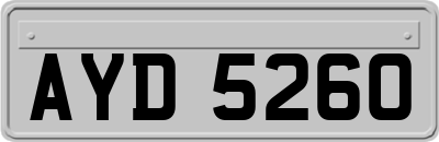 AYD5260