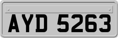 AYD5263