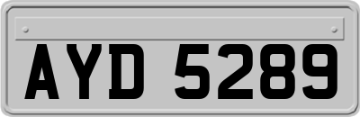 AYD5289