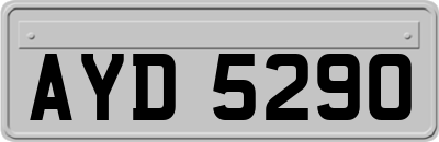 AYD5290