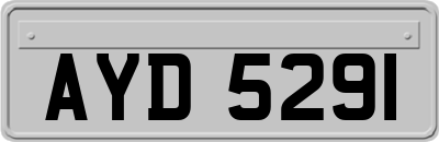 AYD5291