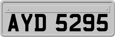 AYD5295
