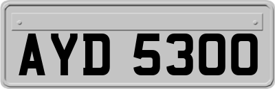 AYD5300
