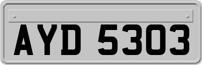 AYD5303