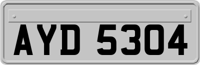 AYD5304