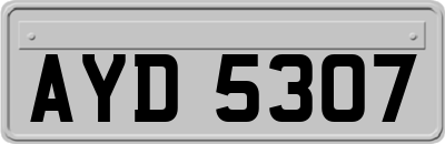 AYD5307